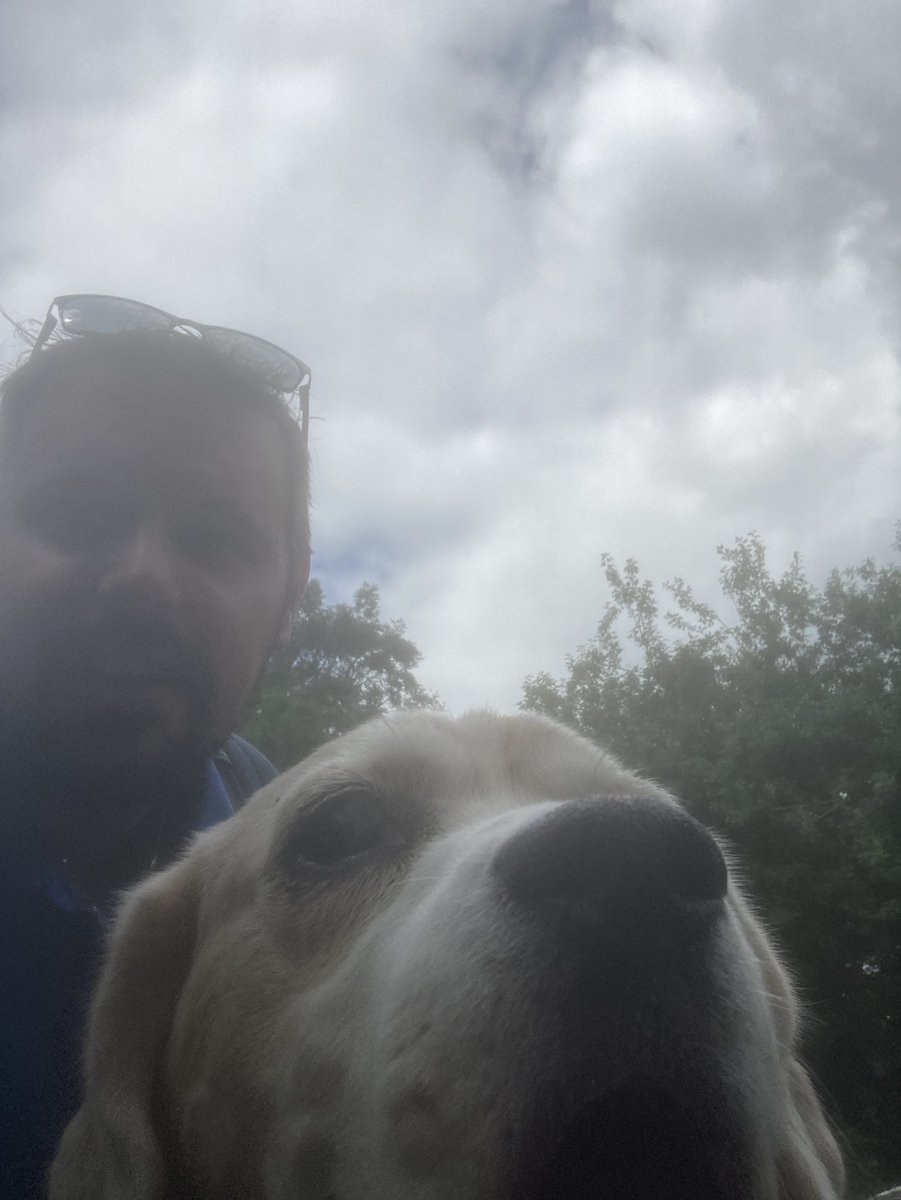 BentleyBeagle5's tweet photo. Lovely #Walkies with Daddy! :) @dannypayne81 https://t.co/RY1CaWjOCQ
