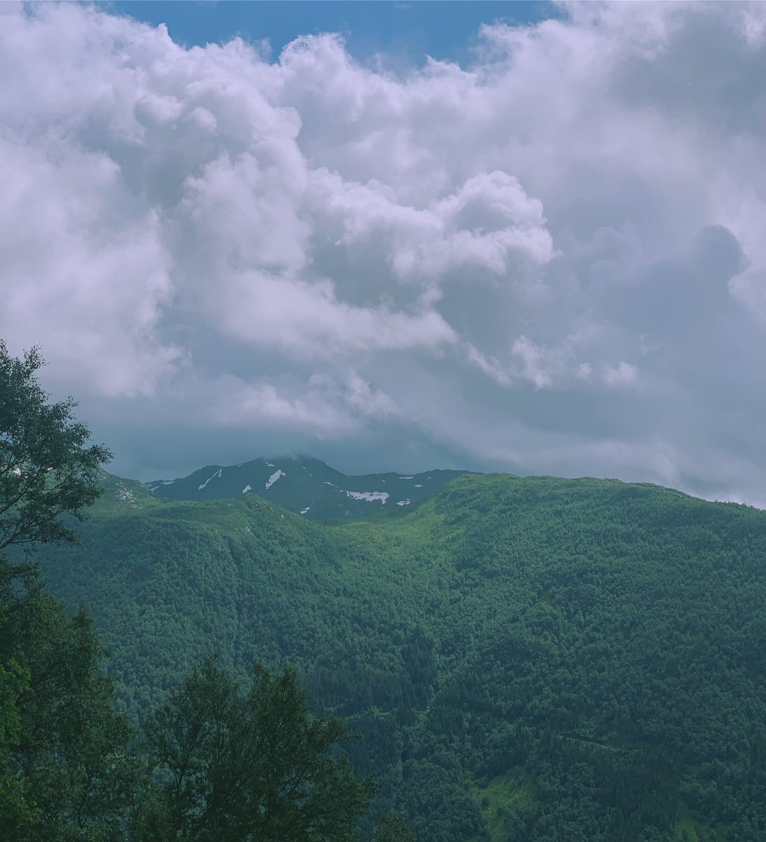 AURORAmusic's tweet image. Today I spent a some time with the mountains. Spending time within nature is, and will always be the best medicine for the soul. And also, there is no hatred here. I couldn’t spot any racism either. Be like the mountains. Be good. The people have a lot to learn from them.