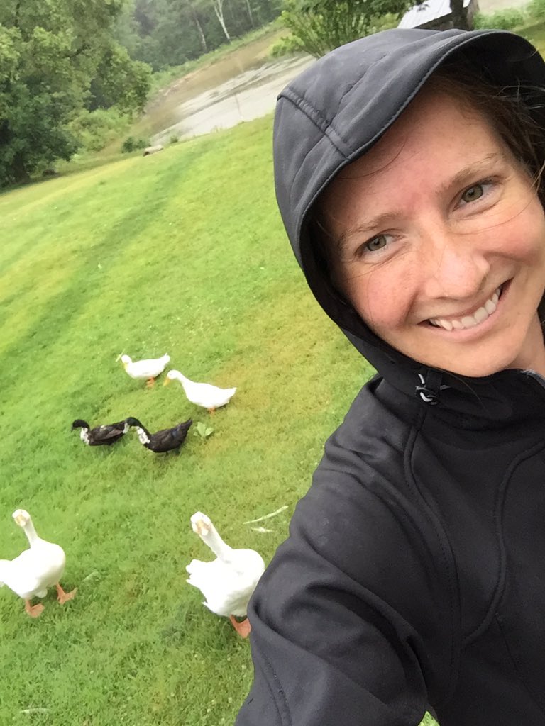MarshaSchaap's tweet photo. They say seeing is believing, but I almost didnโt believe it when I saw it. 10am and still coming down steady in Vittoria, Norfolk County! Ducks and geese seem happy with it too ๐ I was thoroughly soaked after moving the cows to fresh grass #rain #rainmakesgrass #grassfedbeef https://t.co/pOMO2Wald1