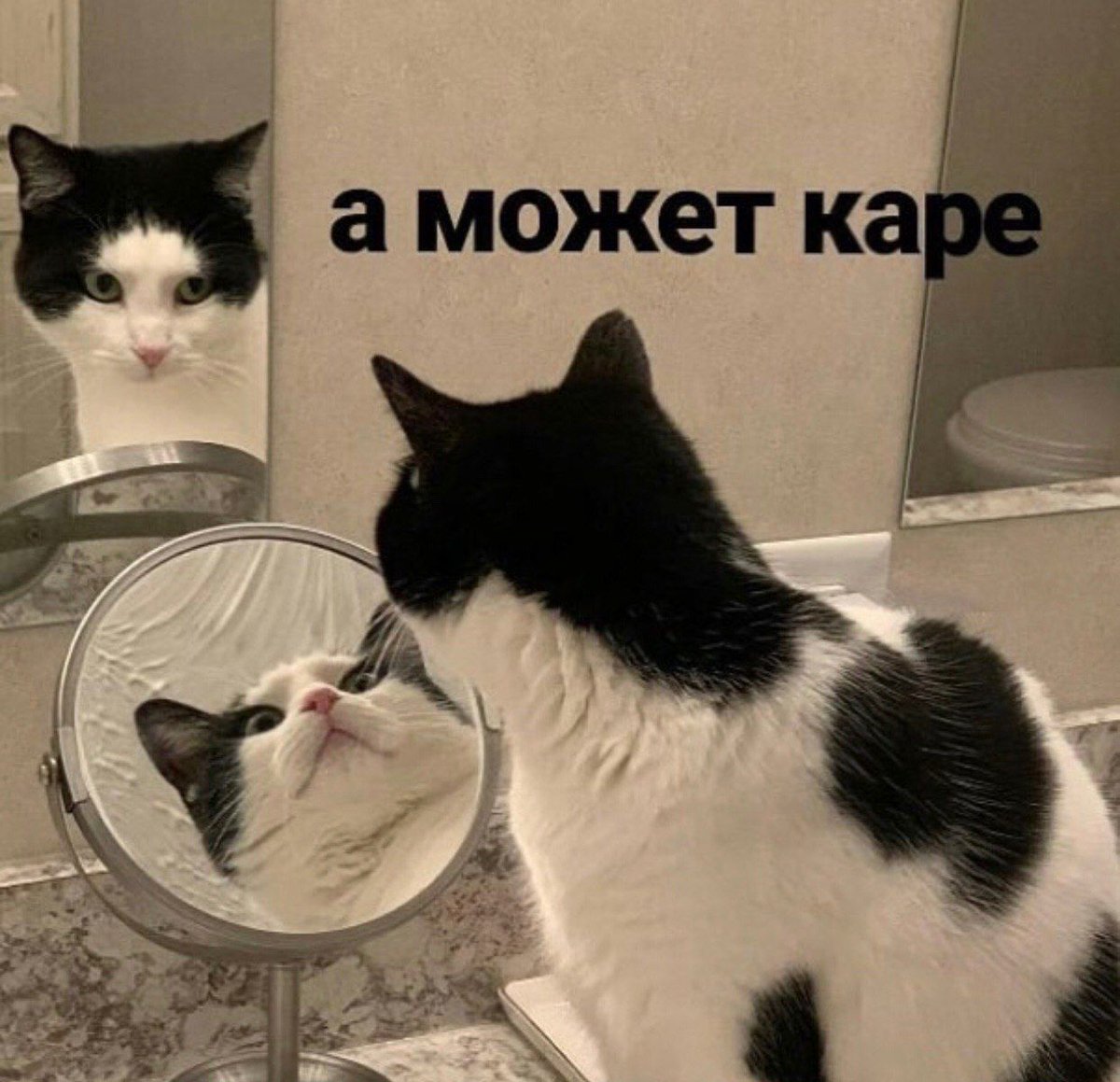 __mudakoff's tweet photo. когда смотришь на себя и не можешь определиться, что тебе подойдёт больше: суицид или https://t.co/qY29d3GNQ1