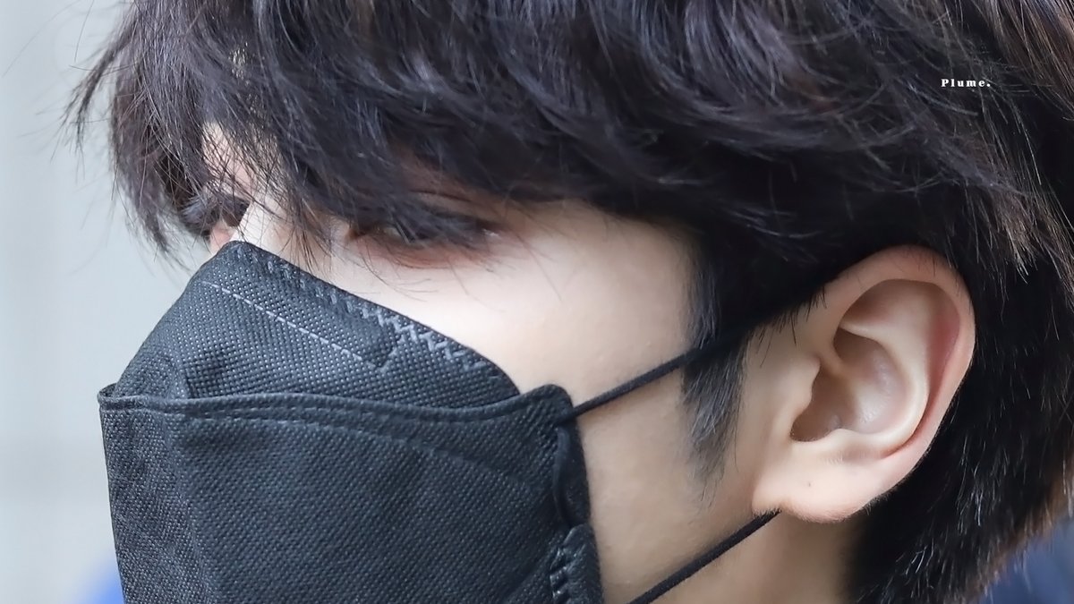 𝐏𝐥𝐮𝐦𝐞 쁠림므 tweet media