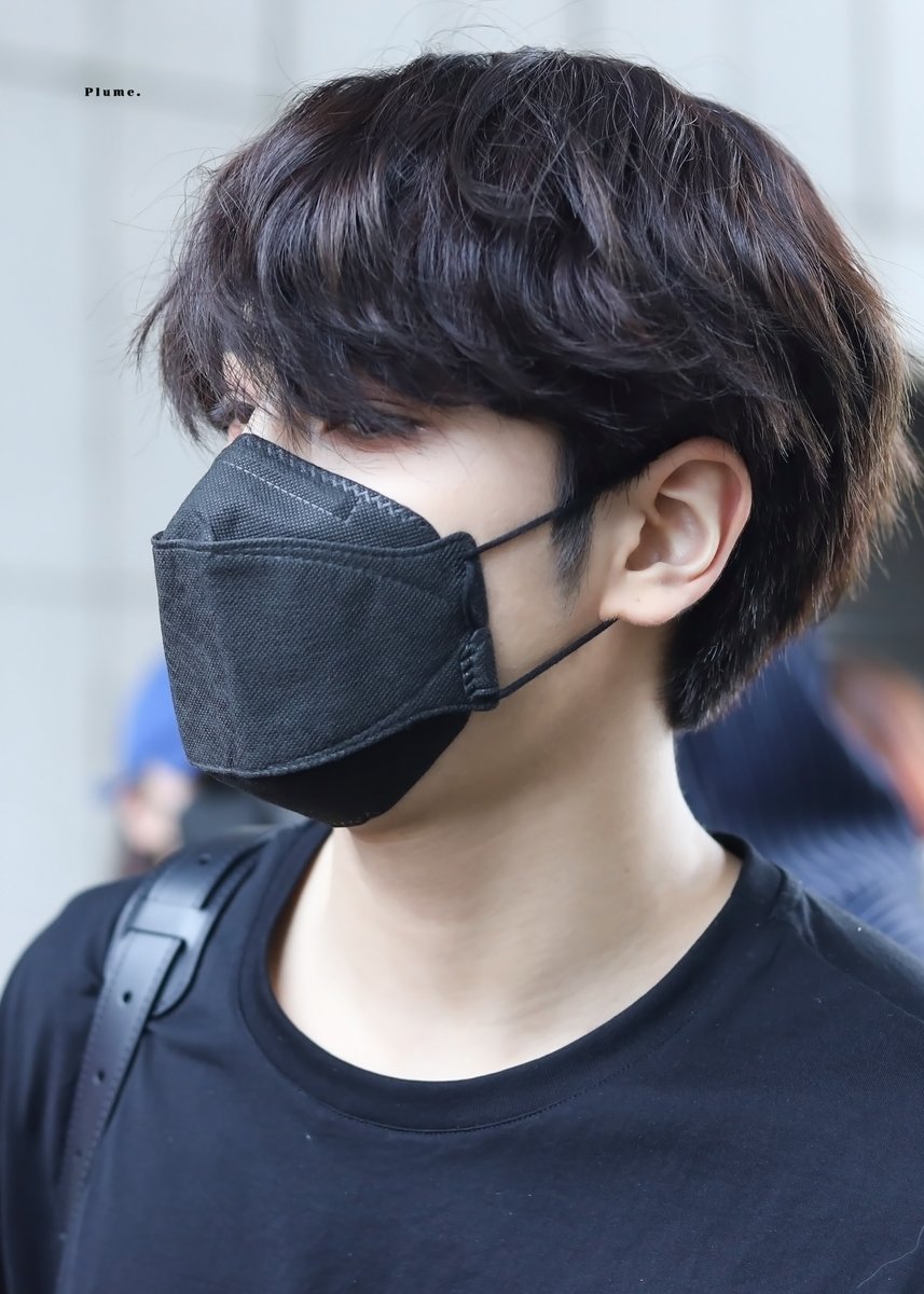 𝐏𝐥𝐮𝐦𝐞 쁠림므 tweet media