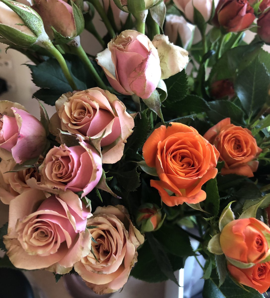 monicakoppel's tweet photo. Muy bien fin de semana para todos!!! https://t.co/HJk1uwVLxj #fengshui #cursosfengshui #ambientesholisticos #armonia #tipsfengshui #fengshuilifestyle https://t.co/A3ZoSAgpam