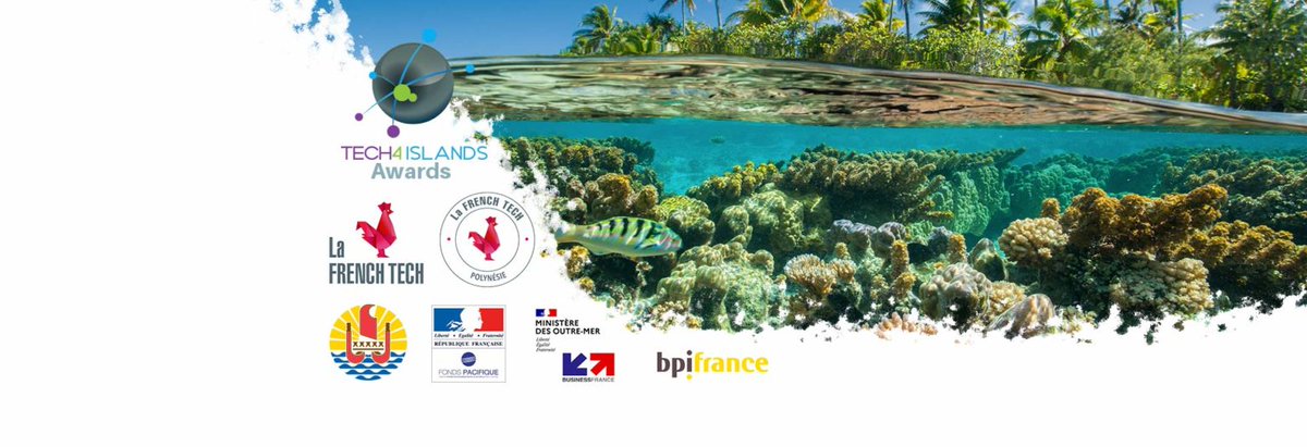#startups 
#Hurryup vous avez jusqu’au 20/07 pour postuler #Tech4Islands @FTPolynesie

Concours #international pour les  startups, #PME entreprises innovantes, organismes de #recherche &amp; #universités pour les îles d'après ! 

CC <a href="/Big4Start/">BigUp New Business Makers ♦️</a> <a href="/VillageFranco/">VillageFrancophone</a>

linkedin.com/posts/french-t…