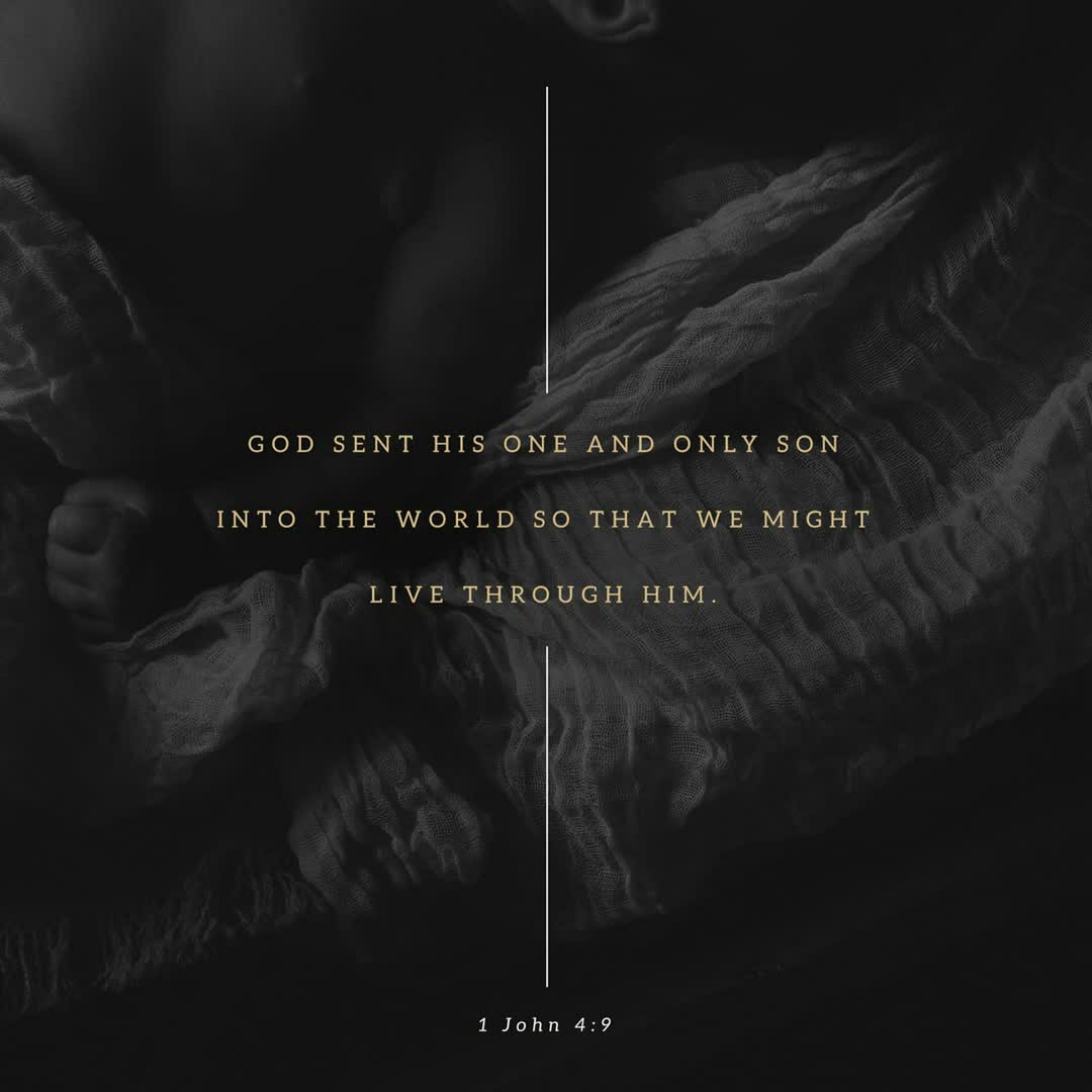 Steven Roberts tweet media