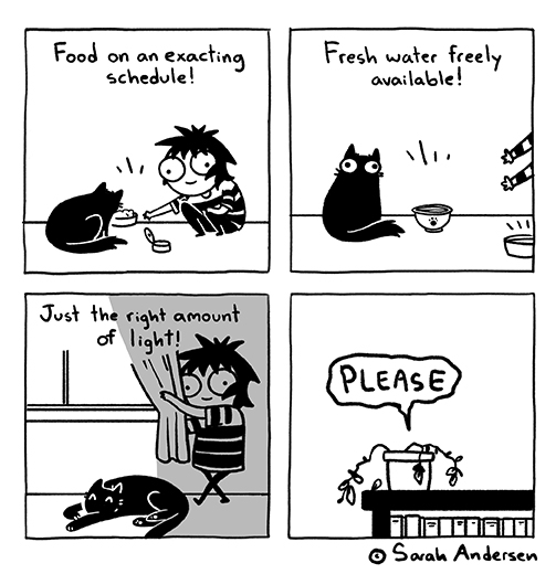 Sarah Andersen (@sarahcandersen) on Twitter photo 
