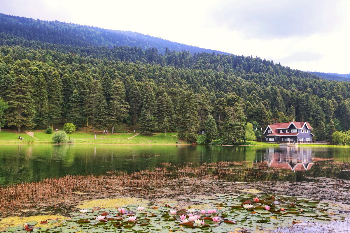 #bolu #gölcük 6

@Canon_TR
#yansıma 
#yeşil 
#LiveForTheStory
#CanonTürkiye
#fotoğraf 
#foto 
#dslr
#canon 
#canon6d 
#canoneos6d 
#canon1635mm 
#canontürkiye
#canoneurasia 
#canoneuropa 
#canonusa 
#mycanonstory 
#canonphotography 
#canoneos 
#mycanon 
#canonphotos 
#canondslr