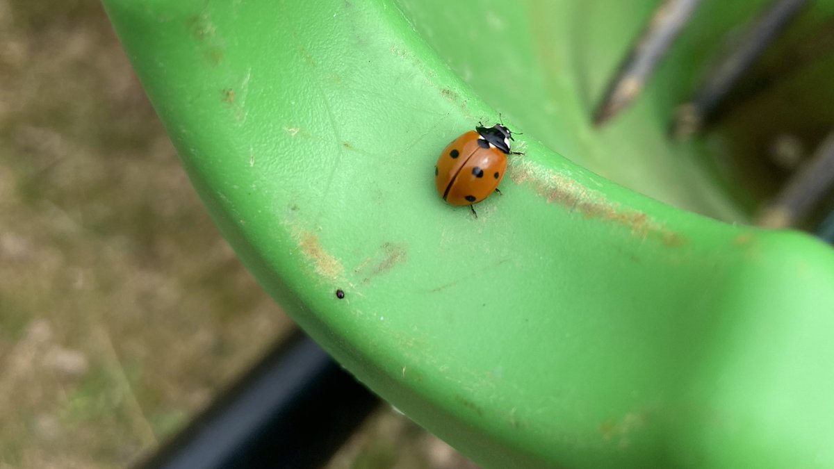 Vikki Eames tweet media