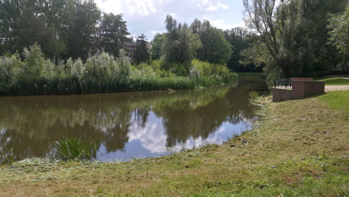 coicurry's tweet photo. Welke sukken bij de gemeente zou nou bedacht hebben om de prachtige oevers van de Genderparkvijver es lekker kort te snoeien??? https://t.co/wXWaTC8ZF2