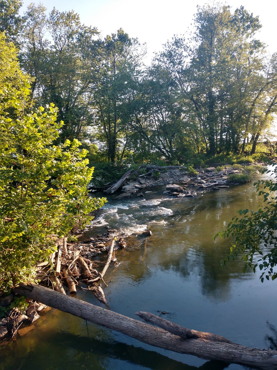 mschwartzman's tweet photo. Hiking the @candocanal Locks! #Lock23 beauty. @MontgomeryCoMD #hiking #pandemic #NPS #nature #Calm https://t.co/uTiNfcqYPW