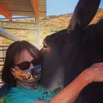 Terri_Farley's tweet photo. Revelling in hugs from Lexi the wild burro #favoritemask #covidcuddles #COVID19 #Nevada #SocialDistancing #wildhorses #burro https://t.co/ScFzj2ixuA