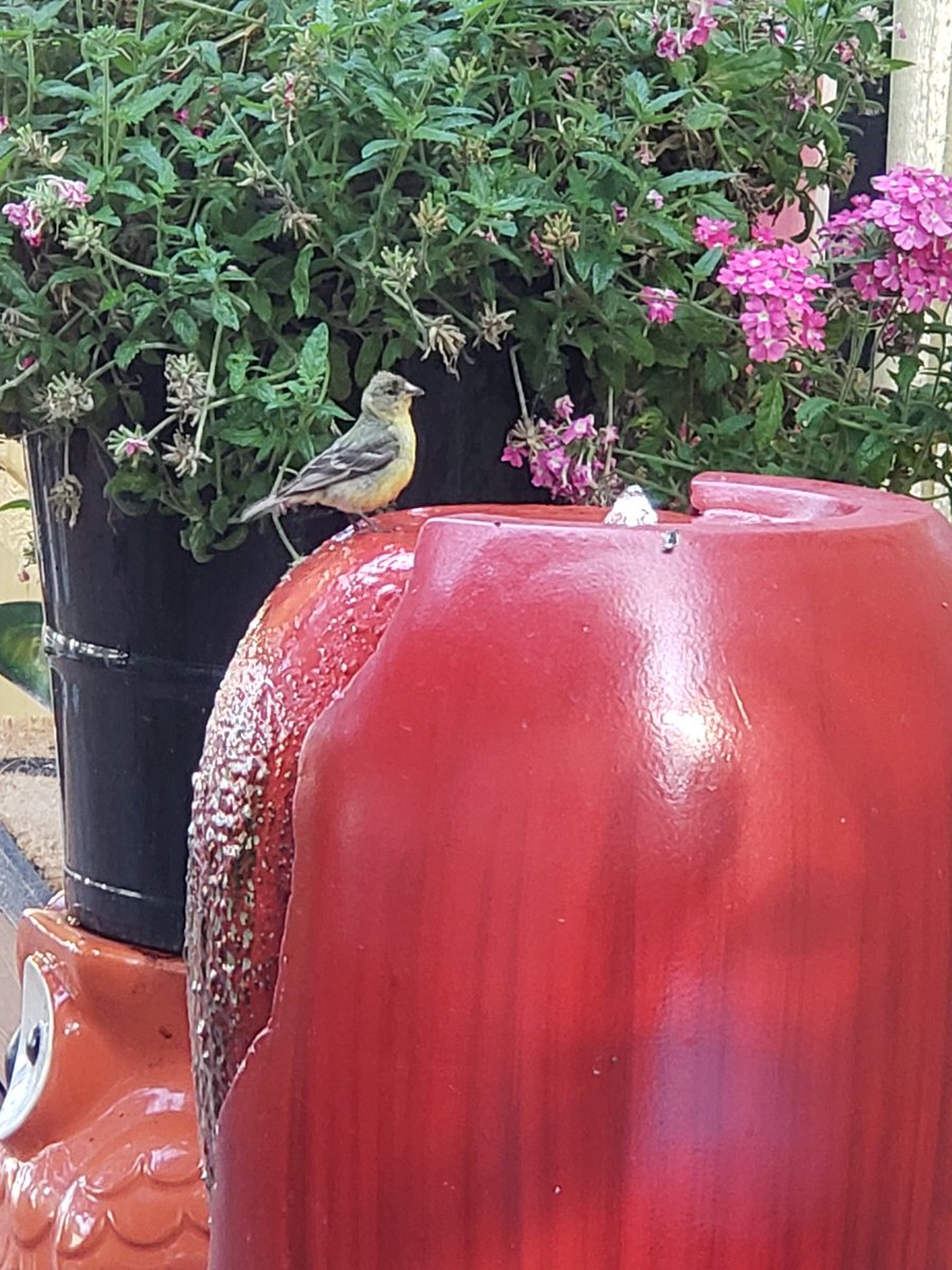 JcMercerJr's tweet image. 