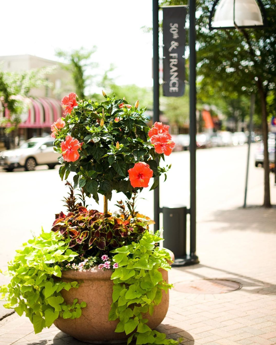 Shop your favorite stores at <a href="/50thandFrance/">50th & France</a>. 🛍️ Tell us your favorite place to shop until you drop 👇