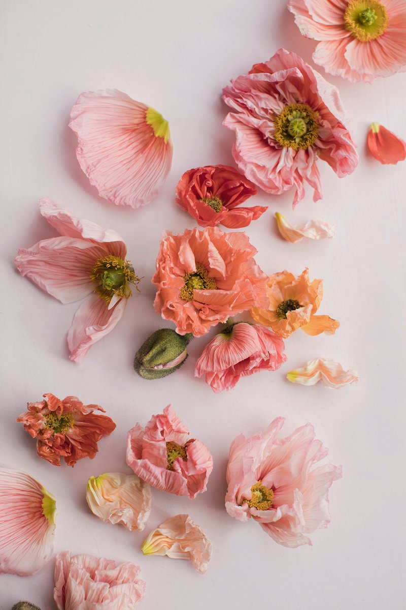 The Veneka tweet media