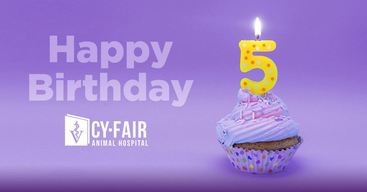 We’re all smiling. #TheVetLife