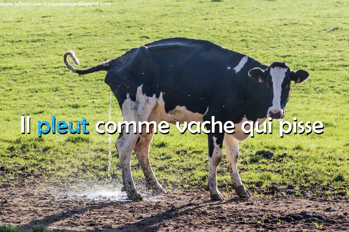 AndrewMTracey's tweet photo. Here, have some French.  This is how you say that it's raining hard (note: this is informal and slightly vulgar): https://t.co/k48kQpnVf8