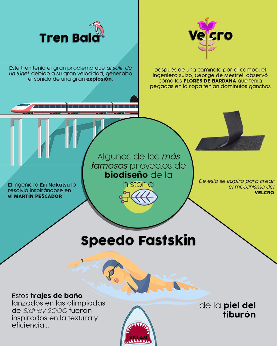 VillamMx's tweet image. Algo de lo que nos platicó David en nuestro episodio de Biodiseño 🚅🦈

#biodiseño #podcasts