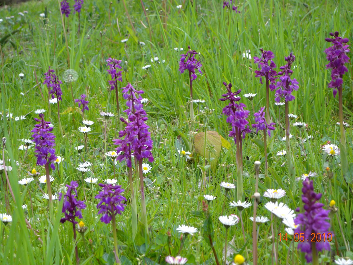 Dr M still going wild! tweet media