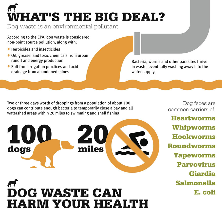Do your part and scoop the poop! Dog waste can harm your health as the feces caries harmful E. coli bacteria and other pathogens that can contaminate water bodies we recreate in, as well as parks and trails. More information at yourcleanwater.org/residents/pet-…