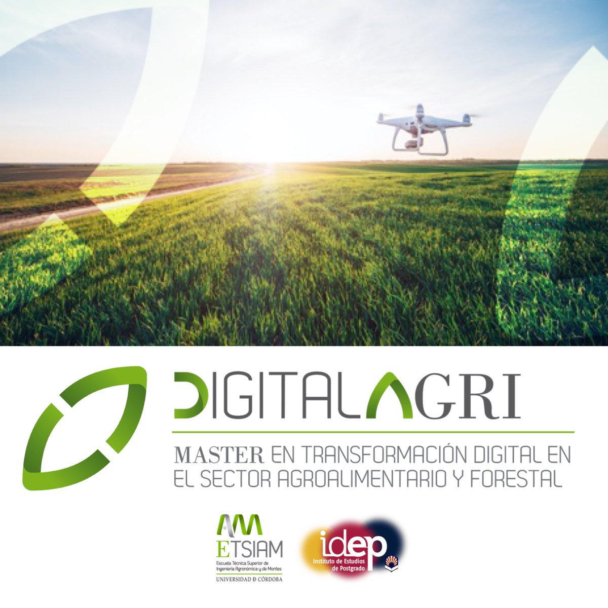 DigitalAgriUCO's tweet photo. 🗣Somos el único Máster oficial universitario en España para la formación de profesionales que combinen las competencias agronómicas/forestales y digitales 🌾🛸🛰
Plazas limitadas. Abierto periodo de preinscripción 16 JULIO
https://t.co/y9QKTm9El7
🌐 https://t.co/smiZRWkNta https://t.co/seeazobM8N