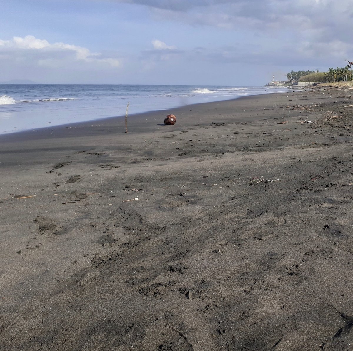 Before & After. Our Jembrana Beach Team recently recovered over 860 pounds of trash from Ketapang Beach in Bali pushing us past 9,420,115 total pounds across all of our cleanup divisions.⁠