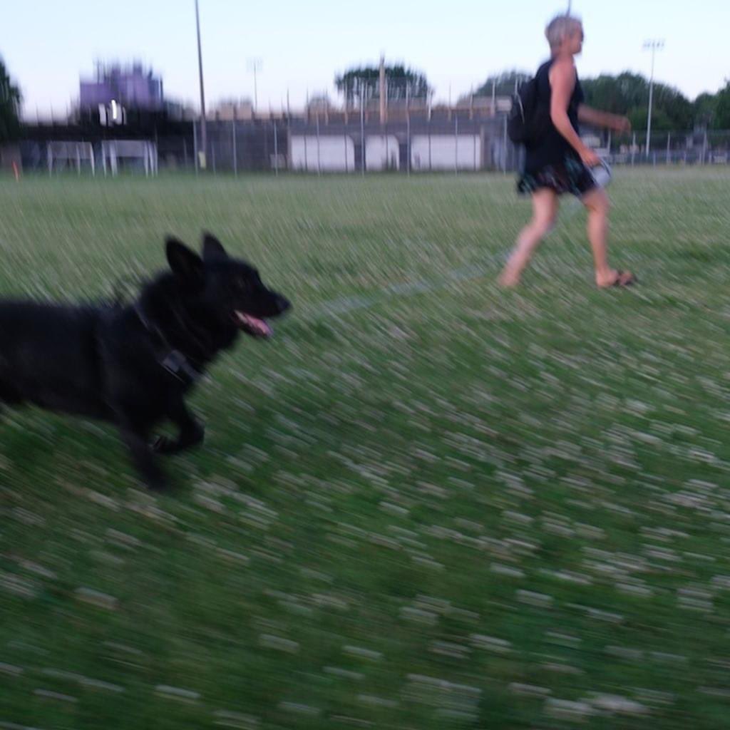 beavela's tweet photo. @MurrayWindham Here are a few photos of Chance! https://t.co/PHCY5PGe10
