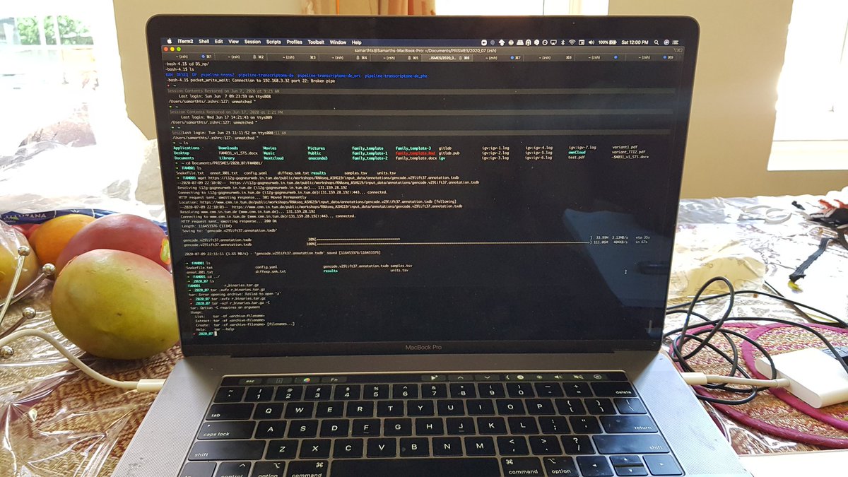 SamarthArya's tweet photo. @10xGenomics #10xcellfie Summer mangoes and #bashlife during covid 19 WFH times #10xcelfie https://t.co/yqogD3N8Z2