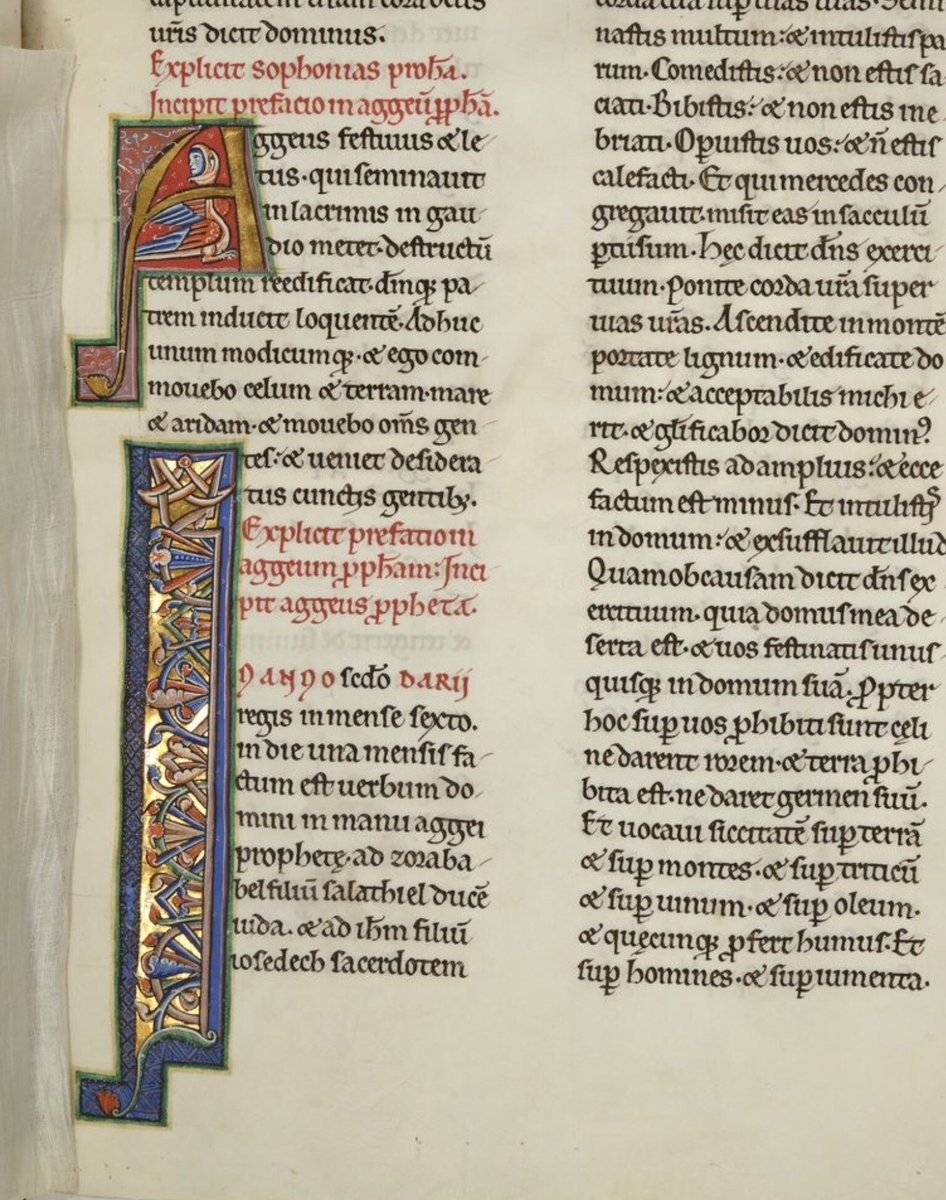 Ennius Initial A Ggeus And Initial I N From The Preface To And The Beginning Of Aggeus Haggai Latinbible Bnf Ms Latin Bible 1150 10 F 153r Gallicabnf T Co 9okjnmwzhc