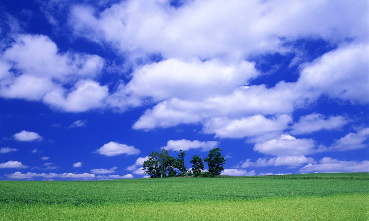 札幌市の体育館をメインに活動を再開しています！

7月から新規メンバーがかなり増えていて、新規の方も入りやすい雰囲気です。

新規の方はまずはHPからゲスト参加申込をお願いします！