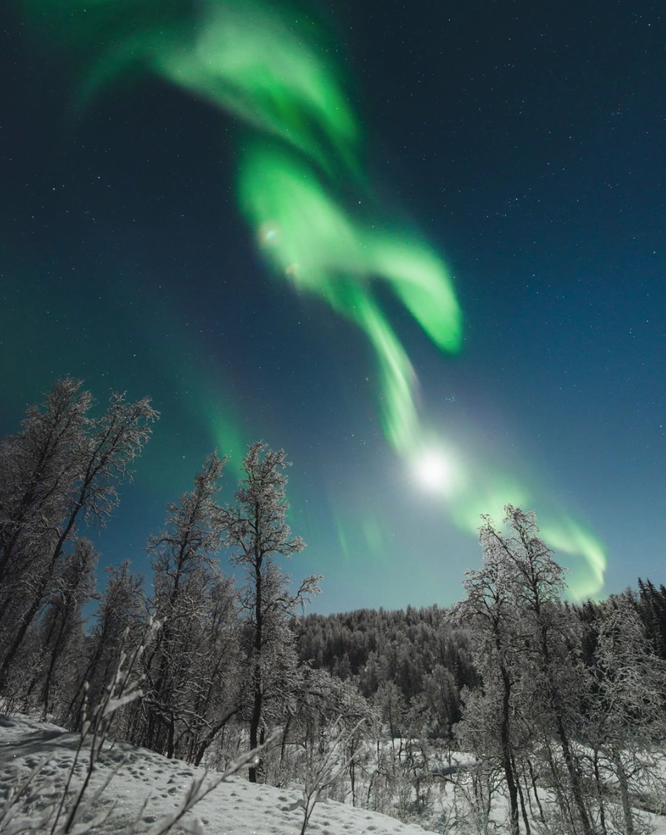 Abstract beauty ✨

via: <a href="/seffis/">steffen fossbakk</a>

📸 #RealCamerasRock 📸

——————————————
#photography #photo #photographer #photooftheday #photographers #nature #photographyisart #beautiful #sunrise #sunset