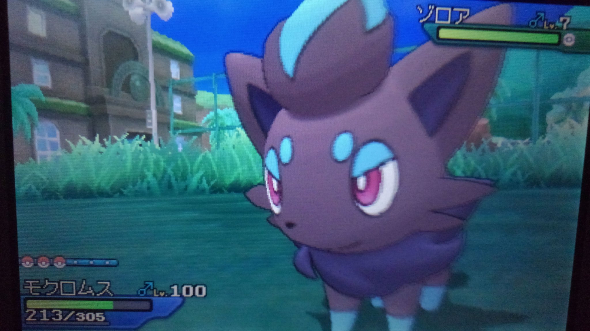 りりり 色証厳選 色厳選 ウルトラサンムーン 色ゾロア 一日目 45連鎖 実質345連鎖 ゾロアくん可愛い ほとんど画面見てなくて 3回くらい連鎖途切れた 学習能力皆無 そのせいで総合連鎖は実質345連鎖くらいかな