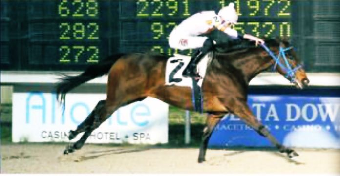 RacingDmw's tweet photo. #SecretBiscuit has been entered at #FairMeadows @Tulsaexposquare for this Monday! 
Race: 3 Allowance Race
Trainer: Tim Dixon
Jockey: Curtis Kimes

@DaveyWilkett @RossEverett #DMWRS #Horsracing #Tulsa #LetsGo https://t.co/twXjOGmIYr