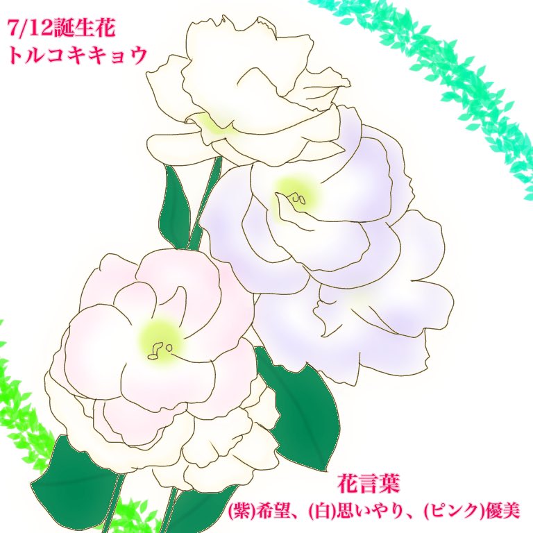 瑠都 Ruto 7月12日の誕生花はトルコキキョウ 色によって花言葉が違うよ T Co Gmrbu400tx Twitter