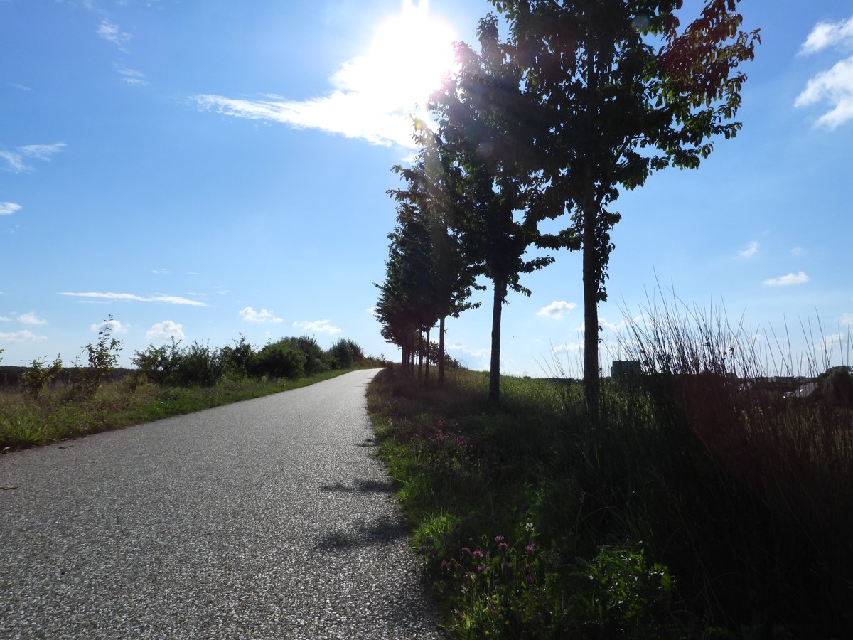 wandelJul's tweet photo. #W4DA20 dag 1, ivm corona in eigen omgeving als alternatief. https://t.co/B7jG5CIjFE