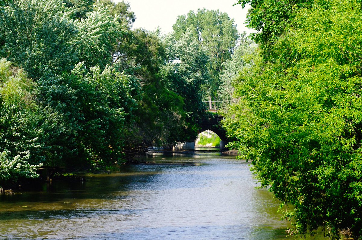 This bridge is over 100 years old and still serves Metra and freight #Trains today. #Summer #photography July 2010 West Branch DuPage River
