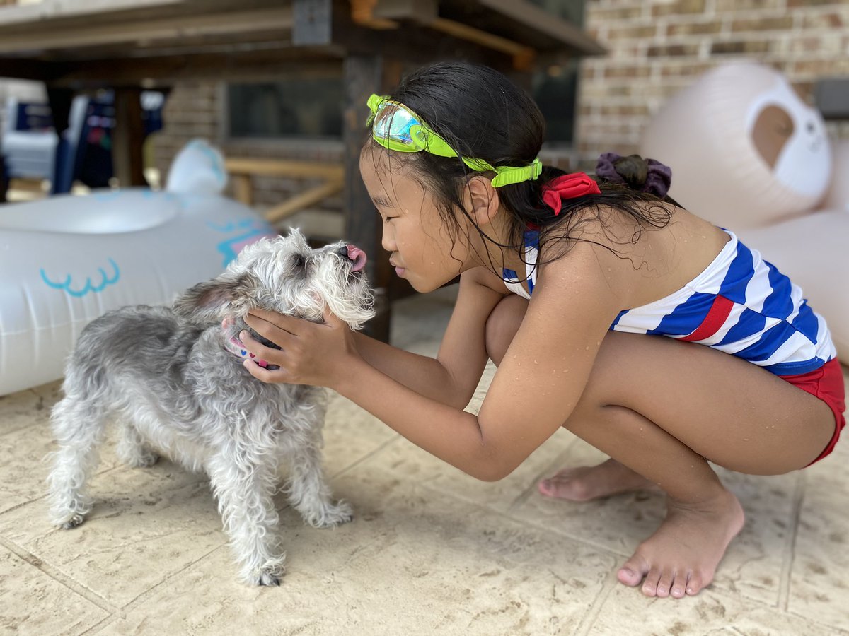 JenniferBaek3's tweet photo. Starting our Saturday with a pool time selfie @riosmustangs resort with Lucy Lou and Bellie Boo.❤️🐶
#JoyInJuly #PoolTimeSelfie #Bunkhouse1 @jclements01 https://t.co/Jq6H5MncUS