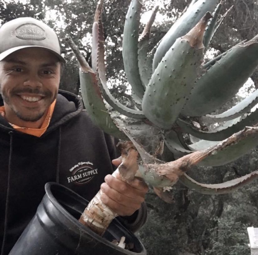 HelpSLOCounty's tweet photo. Need yard work done? The Cactus Bros are a local company specializing in exotic succulents with a focus on caudiciform plants. Call or text Trey at (949) 542-9574. #selfpromosaturday #HelpSLO https://t.co/lHB2xhbyby