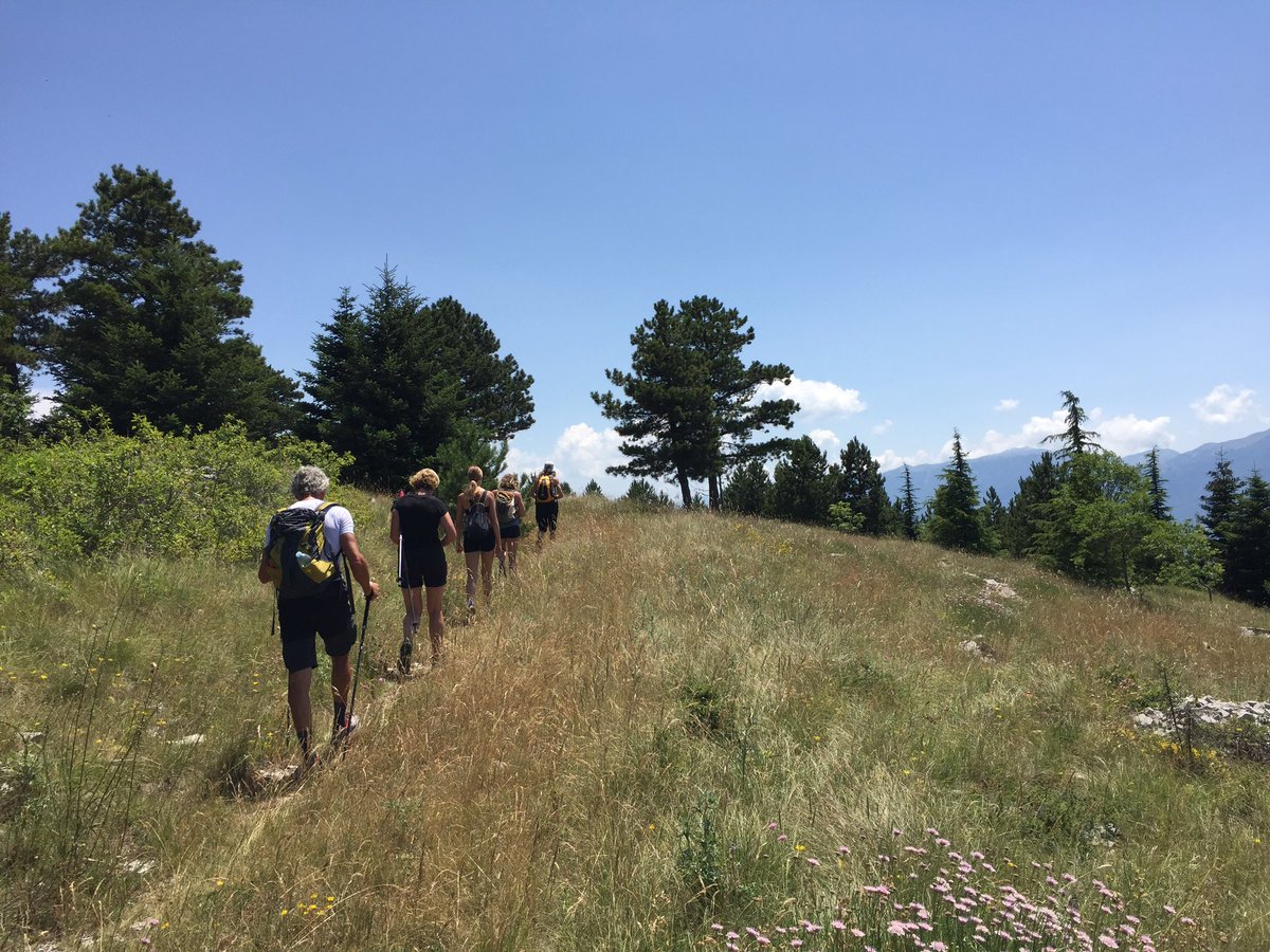 Molisetrekking's tweet photo. Un viaggio a piedi in semiautonomia per scoprirlo il Molise dal Veneto.
Buoni passi “solitari” da domani!
E domani si parte con un altro gruppo per una settimana sul Matese! https://t.co/gNpYdB0qTR