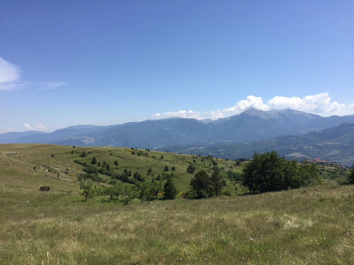 Un viaggio a piedi in semiautonomia per scoprirlo il Molise dal Veneto.
Buoni passi “solitari” da domani!
E domani si parte con un altro gruppo per una settimana sul Matese!