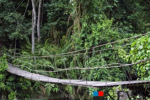 9.Cross-River: Obudu Plateau and Mountain Resort10. Delta: River Ethiope 11.Ebonyi: Okposi Salt Lake:12. Edo: Okomu national park.