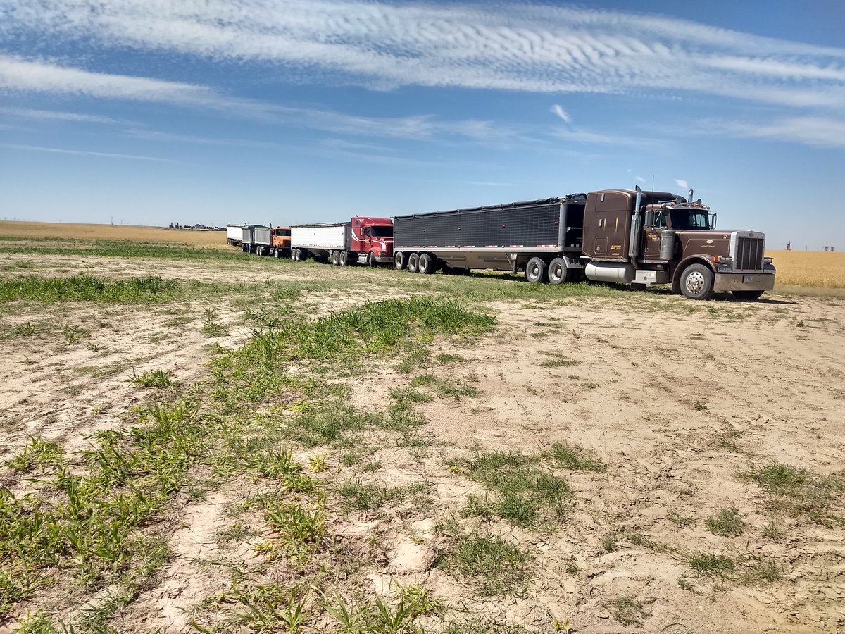 narj_15's tweet photo. Today, we pause life to come together as one to bring in one last #wheat harvest for a dear friend, father, brother and son who left us oh soon a few months ago. JG, hope you can stand the melting pot of equipment in your fields today. You'll be with us, that's a fact! 🌾😥😢🌾 https://t.co/JYZ3I3PpXk