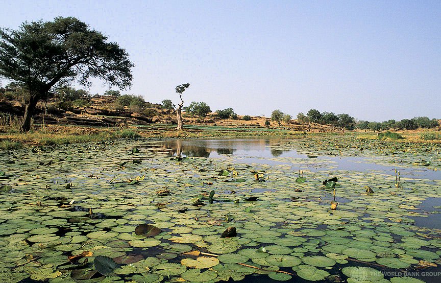 17. Imo: Oguta Lake.18. Jigawa: Hadejia wetland.19. Kaduna: Kajuru Castle.20. Kano: Dala Hill Kano.