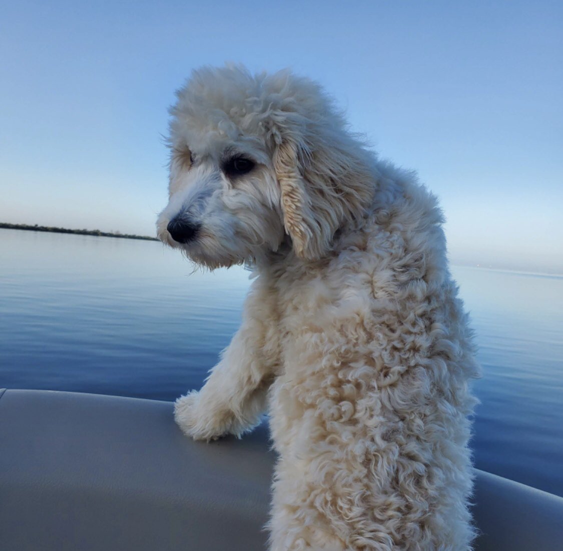 Monica Casey WRAL tweet media