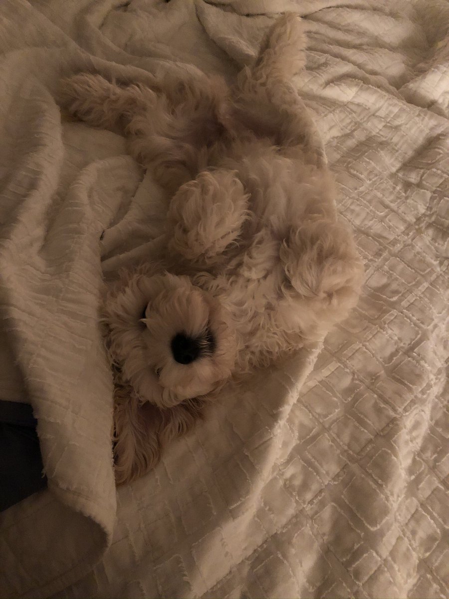 Monica Casey WRAL tweet media