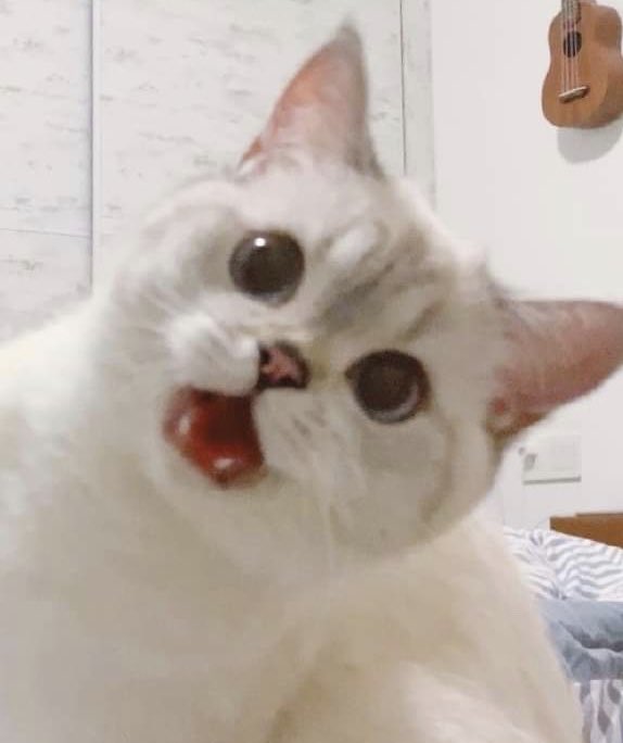 this thread is short but i love it hehe