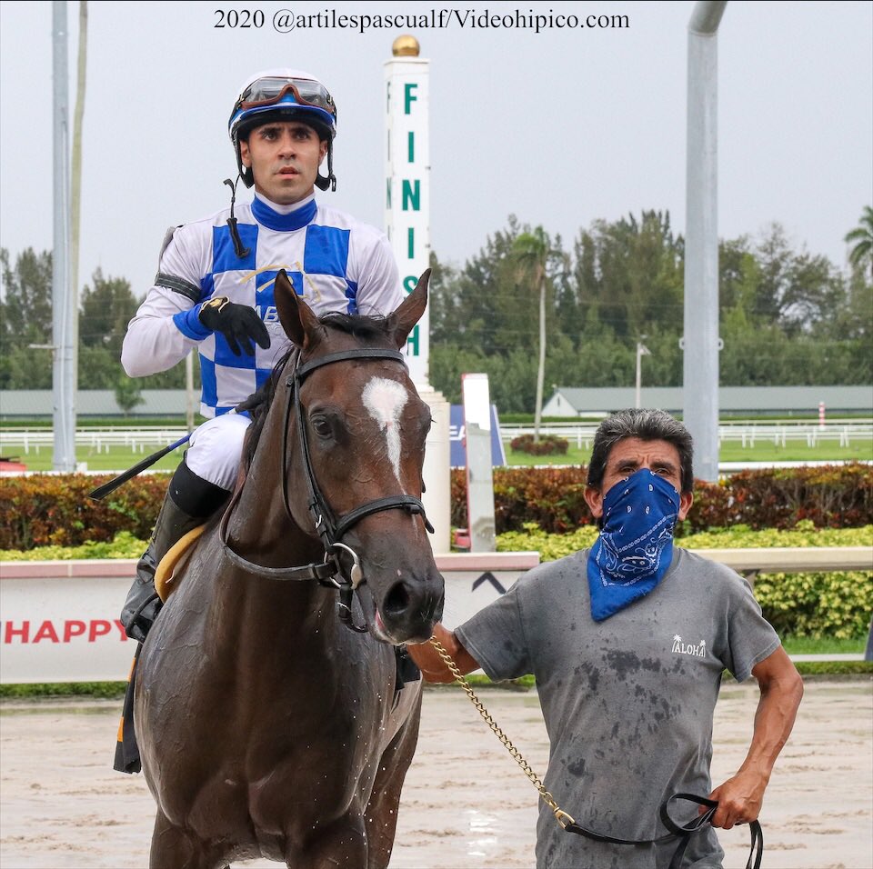 JCAvila63's tweet photo. #11Jul Wholebodemeister, alcanzó su 1er triunfo, con la monta de @Jockey_ReyesLR para el trainer Juan Carlos Avila en #GulfstreamPark 
Felicitaciones a su propietario @Sabanafarmllc @StudSabana 12ma victoria #SummerMeet #SpringMeet
📸 @artilespascualf https://t.co/7HuOybHgWj