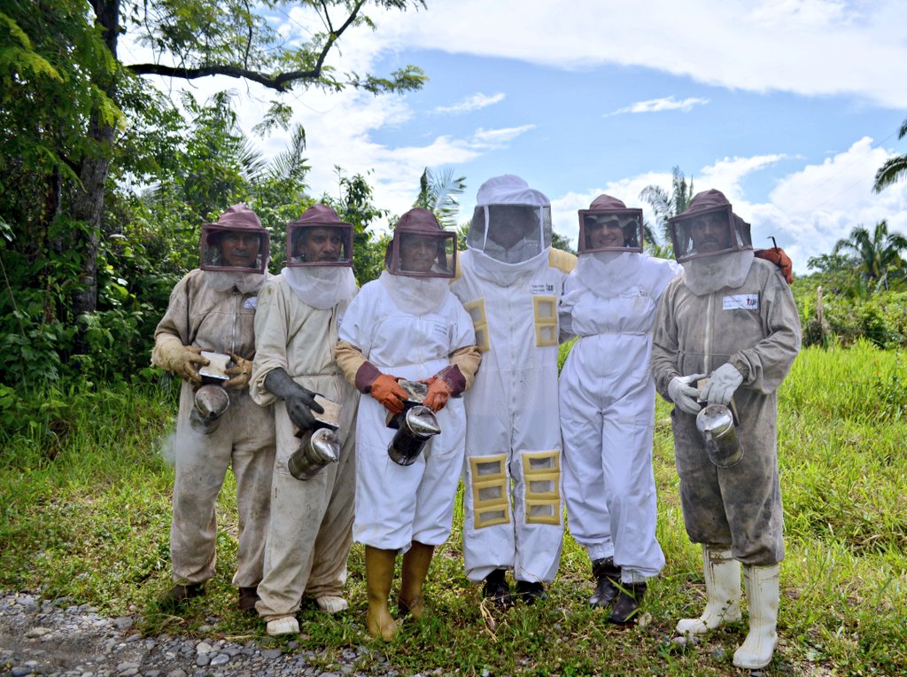 Mincyt_VE's tweet photo. Proyecto de apicultura de la Academia de Ciencias Agrícolas de Venezuela incorpora la formación de juventudes pioneras, de los territorios del estado Barinas, en procesos de multiplicación de abejas.

#CienciaEsSoberanía https://t.co/whftjQhUY1