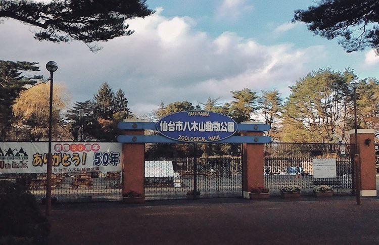 pandapanda_hp's tweet photo. 八木山動物公園
緑あふれる動物園。ワンさんのお気に入りの動物園。
https://t.co/Pcm5PcHYil