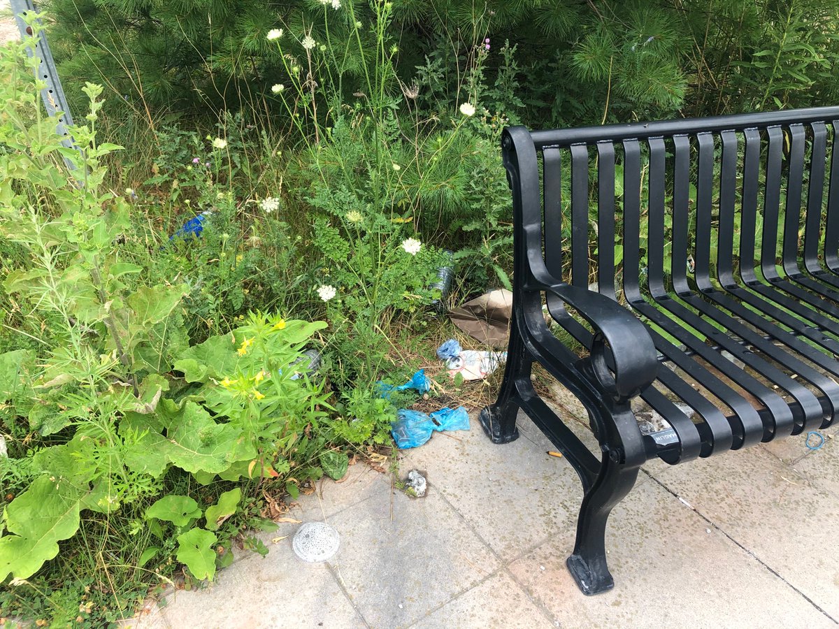 sadafem's tweet photo. @City_of_Vaughan I think it’s time to put a garbage can 🤔 https://t.co/ePua3TtPxX