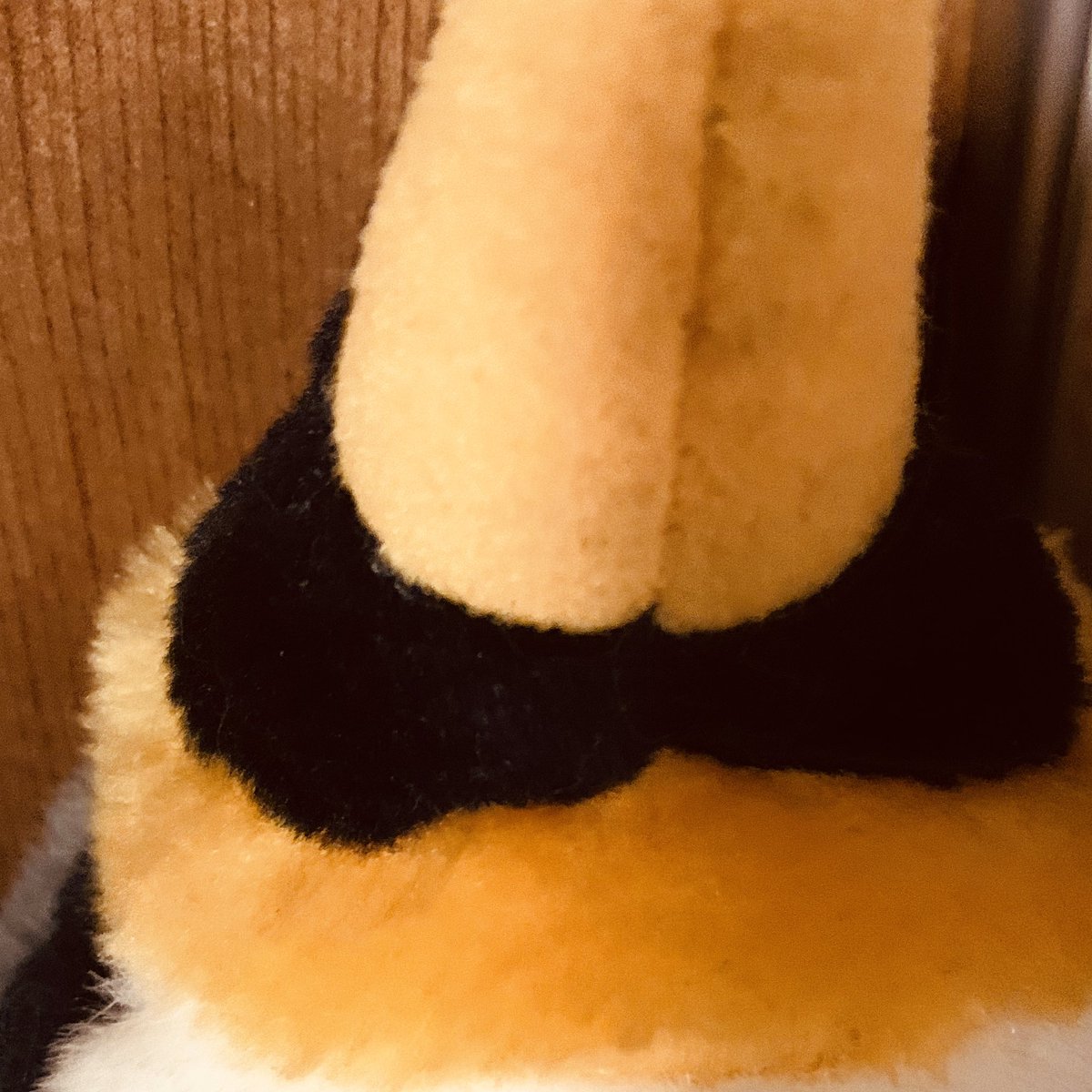 pandapanda_hp's tweet photo. 大観密寺
パンダパンダ達がよく集まっていた。アボボ、ふみまろ、谷崎などがたまに観光していた。
https://t.co/uRpFI3JK7L